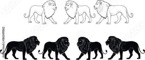Lion walking silhouette and outline vector set featuring majestic animal poses for wildlife, safari, tattoo, and graphic design use.