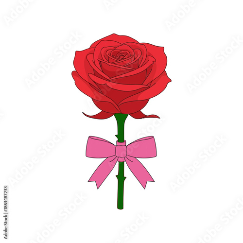 Red rose with pink bow tie on vector illustration