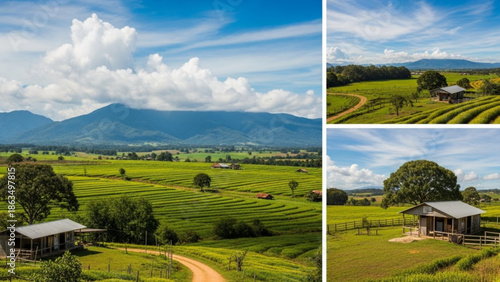 Serene countryside landscape with rolling green hills, tea plantations, rustic wooden cabins, dirt road, majestic mountains under blue sky with fluffy with view