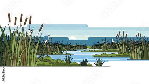 A serene wetland landscape illustration featuring abundant cattails, lush reeds, calm water. Wading birds find peace within this marsh, depicting
