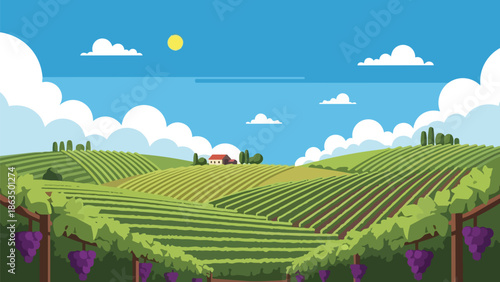 Scenic flat design vineyard vista with ripe grapes, rolling hills, and distant farmhouse