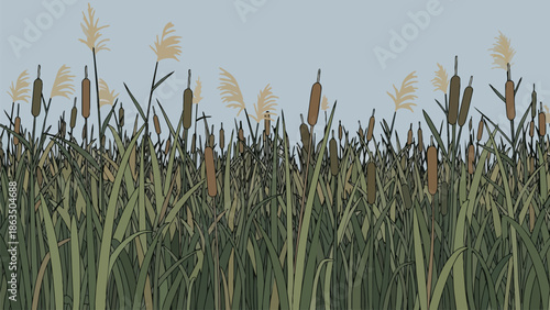 Stylized wetland panorama featuring abundant cattail plants and graceful feathery reeds against a tranquil blue sky offering a serene natural