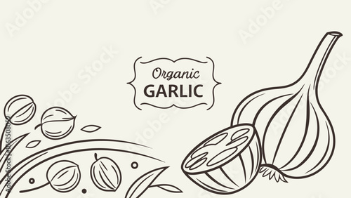 Hand-drawn illustration of fresh organic garlic bulbs and cloves with decorative elements
