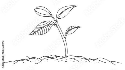 Delicate new seedling growing from fertile soil, symbolizing new beginnings and growth.