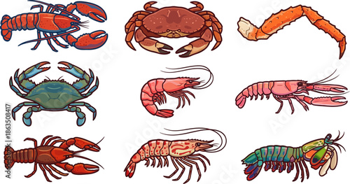 Seafood crustacean set with lobster crab and shrimp vector illustration