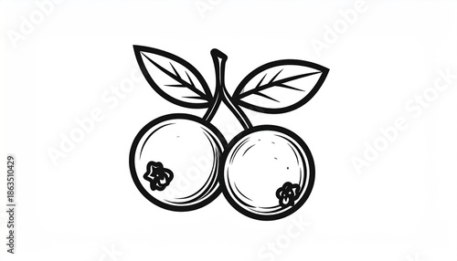 Elegant line art illustration of two cherries with leaves.