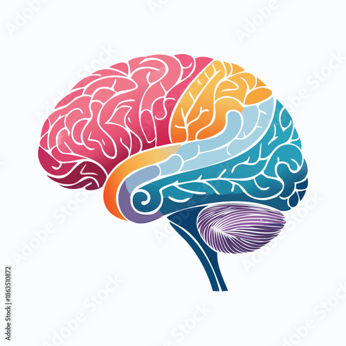 Vibrantly colored graphic illustration of a human brain, depicting different lobes and their complex functions in a stylized anatomical representation.