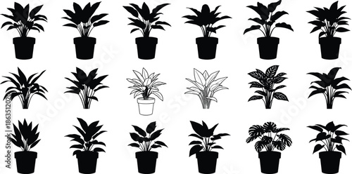 Indoor Houseplant Silhouette Vector Collection Set of Potted Greenery Monstera and Philodendron Icons for Home Decor Gardening and Interior Design