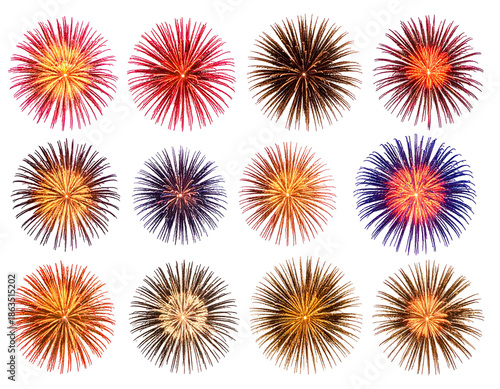 Collection of diverse, vibrant, starburst-shaped fireworks displays