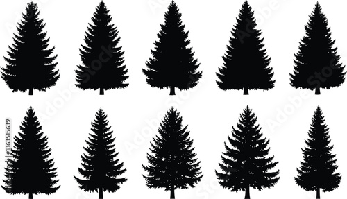 Set of ten black pine and spruce tree silhouettes isolated on white background for forest landscape design and winter outdoors