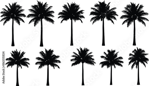 Set of ten black silhouette palm trees isolated on white background for tropical summer beach travel and exotic nature vector design