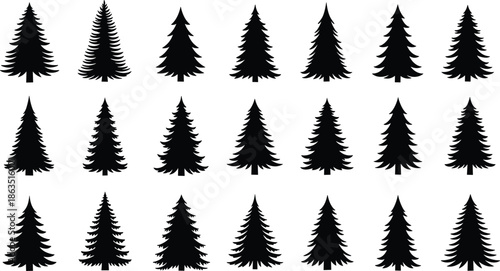 Set of twenty one black silhouette pine and fir trees isolated on white background for winter forest nature vector design