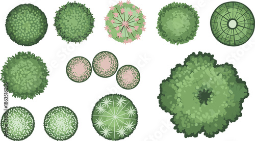 Top view collection of diverse green trees and flowering shrubs for landscape architecture site plan design, cad drawing flat vector illustration