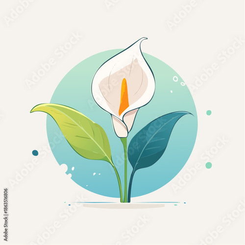 Elegant White Calla Lily Flower With Green Leaves Against A Soft Teal Circle And A Pale Cream Background With Subtle Speckles