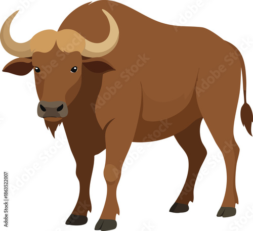 cow vector illustration
