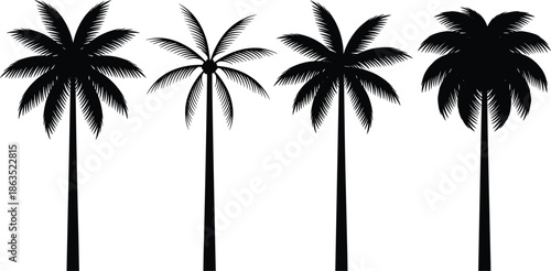 Palm tree silhouettes collection, tropical palm trees set, summer beach nature symbol, black vector illustration isolated