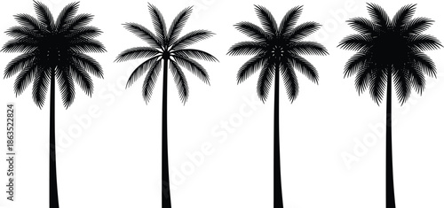 Palm tree silhouettes set, tropical palm trees collection, summer beach nature design, black vector illustration isolated