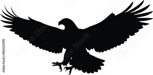 Flying eagle silhouette with spread wings, powerful bird of prey isolated on white background wildlife illustration