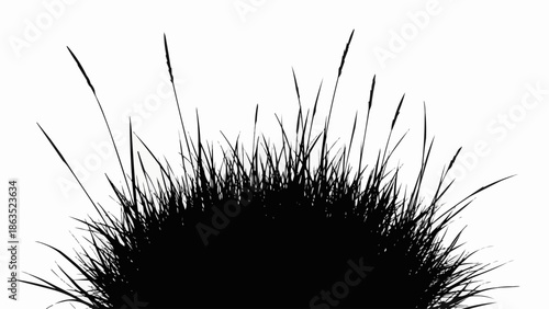 Silhouette of tall grass blades against a white background.