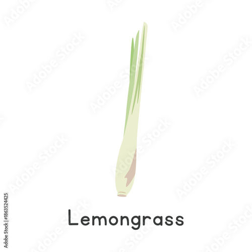 Lemongrass (Cymbopogon) Flat Cartoon Vector Illustration Isolated on White Background