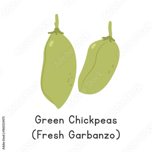 Green Chickpeas Vector Illustration. Chickpea or Chick Pea Cartoon Clipart, Vegetable in Flat Style. Also called Cicer arietinum, Chholia, or Green Chana. Legume Concept. Common Vegetable Vector Desig