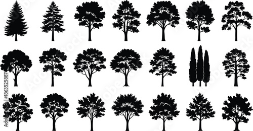 Tree silhouettes collection featuring diverse forest, park, and garden trees isolated on white background for nature design projects
