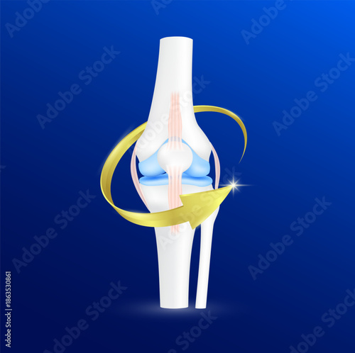 Joint knee surrounded by golden arrows on blue background. For products design supplement food. Healthy human skeleton anatomy isolated on blue background. Care leg bone cartilage. 3D vector.