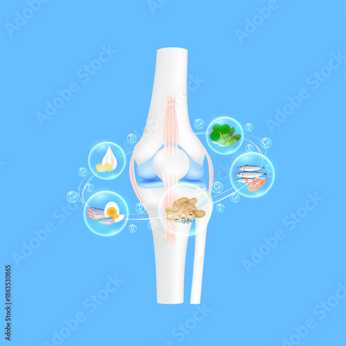Bone nourishing foods. Knee joint surrounded by vegetable, milk, bean, fish. Vitamin D minerals calcium absorbed into the bone cartilage. Healthy human skeleton anatomy on blue background. 3D vector.