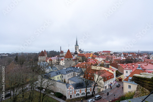 Wallpaper Mural Tallinn, Estonia – Panoramic view of the Old Town skyline with medieval towers, red tile rooftops, church spires, and winter trees seen from an elevated viewpoint. Torontodigital.ca
