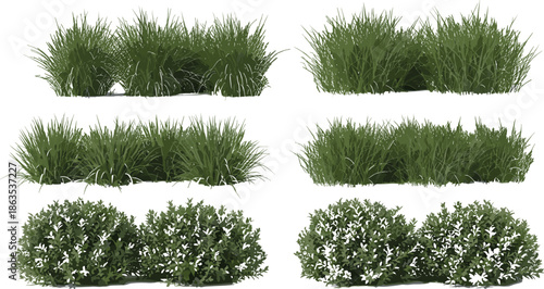 Grass and shrub silhouette set, botanical texture, leafy plant design, white flowers, garden element, cad drawing flat vector illustration