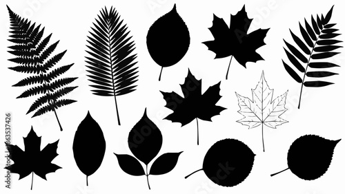 Collection of various leaf silhouettes and outlines.
