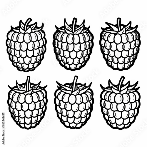 Set of six stylized raspberry vector illustrations in black and white outline drawing style, isolated on a white background.