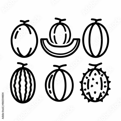 Outline icon set featuring various melon types including watermelon, cantaloupe, and kiwano, depicting healthy summer fruit illustrations on a white background.