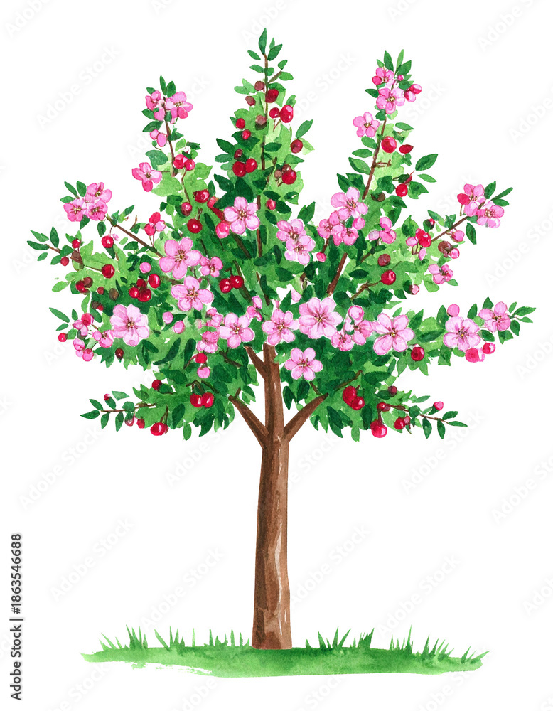Obraz premium 春の木（水彩テクスチャ、飾り、デコレーション素材）