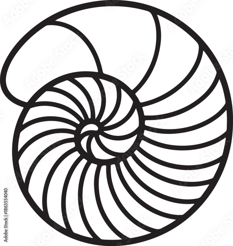 Nautilus Shell Spiral Pattern Line Art, Coloring Book Page Line Art Drawing, Vector and Illustration
