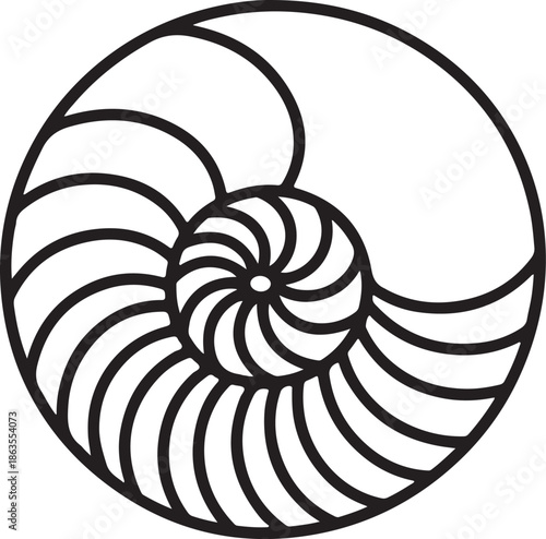 Nautilus Shell Spiral Pattern Line Art, Coloring Book Page Line Art Drawing, Vector and Illustration