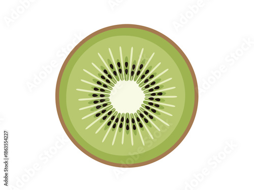 Crosssection illustration of a kiwi fruit slice against a white background