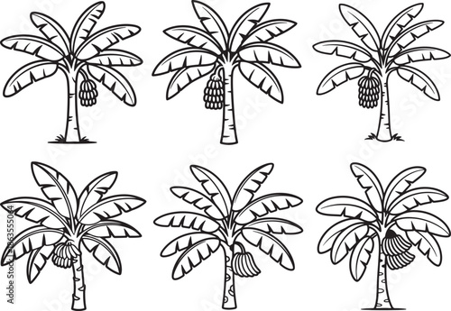 Set of Banana Tree with Fruit Bunch Line Art, Coloring Book Page Line Art Drawing, Vector and Illustration