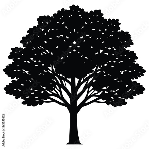 Vector silhouette of tree on white background.