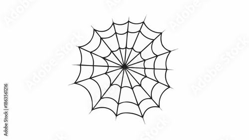 Intricate Spiderweb Design on a White Background.