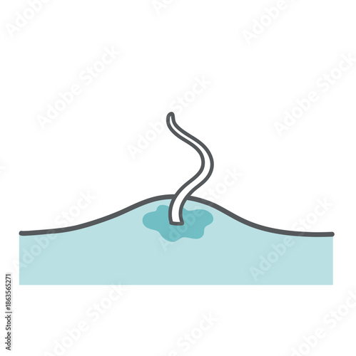 胃壁に食いつくアニサキスの拡大イラスト（穿入・炎症）