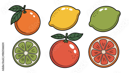 Zesty Citrus Assortment: A vibrant collection of citrus fruits, each a burst of flavor and color. Featuring an orange, lemon, lime, and grapefruit.