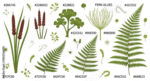 Botanical Illustration Featuring Assorted Green Plants and Brown Aquatic Vegetation