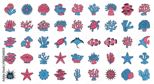 Collection of colorful coral reef animals and plants in cartoon style illustration