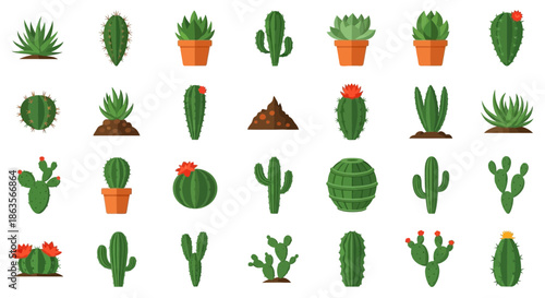 Collection of Diverse Cactus and Succulent Plants, Representing Desert Flora Variety