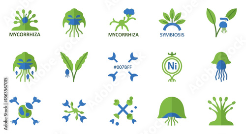 Collection of stylized vector graphics depicting plant symbiosis and mycorrhizal associations