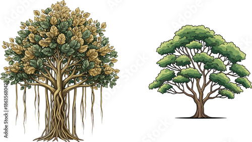 Ancient banyan tree with aerial roots, lush green tree illustration, seasonal foliage, botanical diversity, forest landscape, natural environment, outdoor nature, vibrant leaves