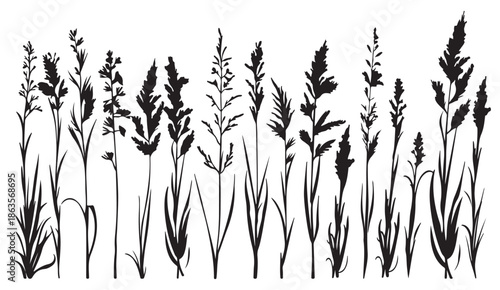 wild grass silhouettes, meadow plant illustration, botanical field artwork, nature grass drawing, minimal plant silhouettes, countryside vegetation art, elegant grass pattern, black botanical decor, h