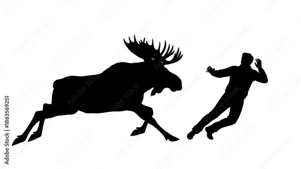 Fototapeta premium Man Running from Charging Moose Wild Animal Encounter Silhouette Action Outdoor Nature Scene