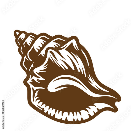 Brown conch shell illustration in a realistic vintage style on a white background
